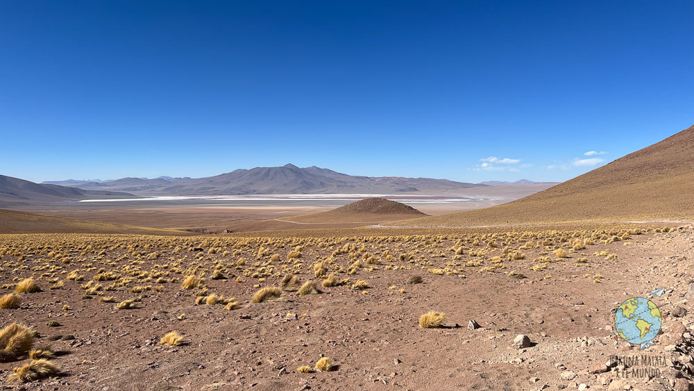 Laguna Colorada en Bolivia