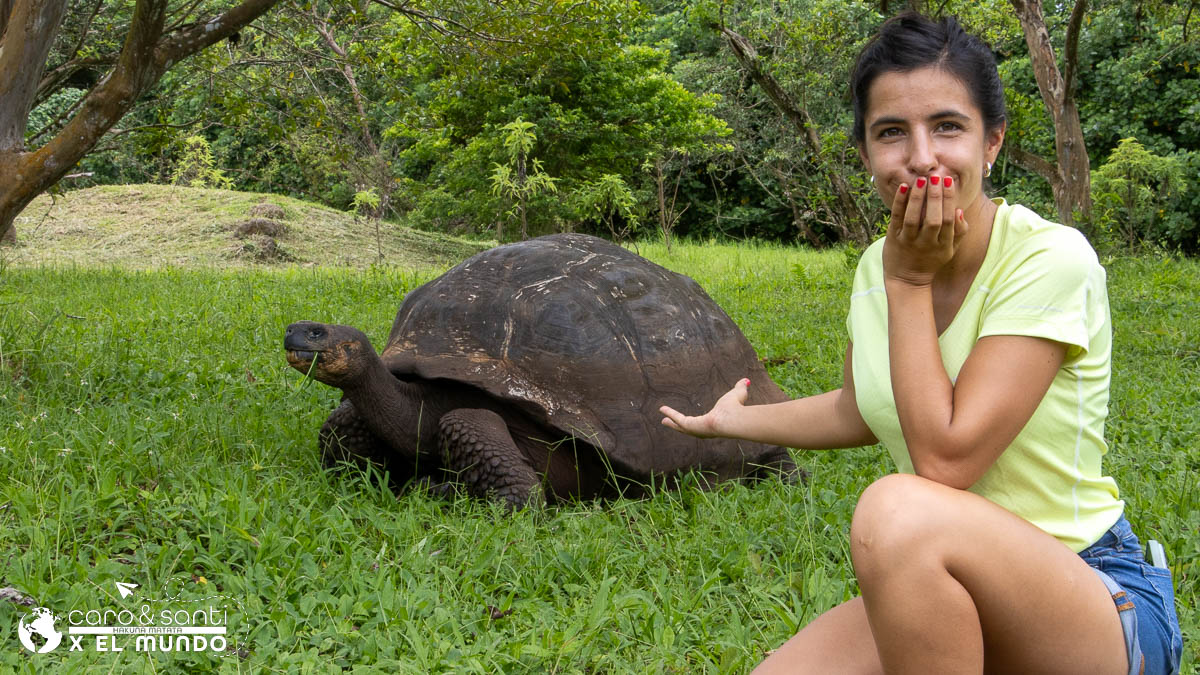 que hacer en Santa Cruz, en Islas Galapagos