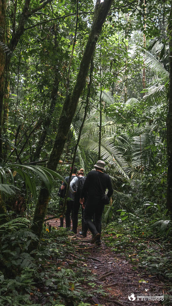 selva amazonía ecuatoriana